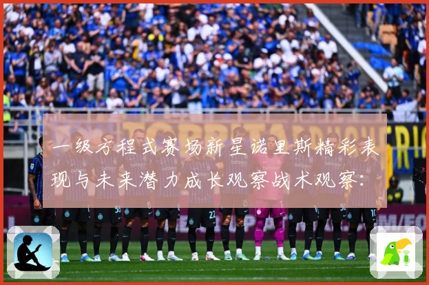 一级方程式赛场新星诺里斯精彩表现与未来潜力成长观察战术观察：最新赛事动态与深度分析